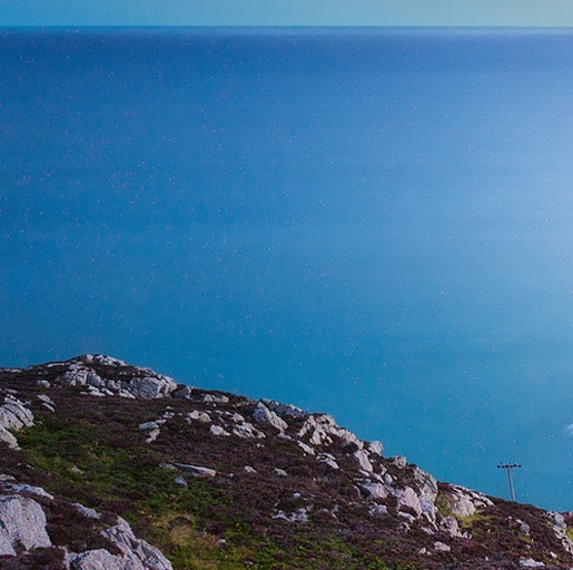 亳州粉象生活注册网站