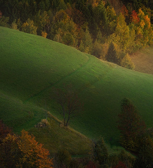 粉象生活是做什么用的