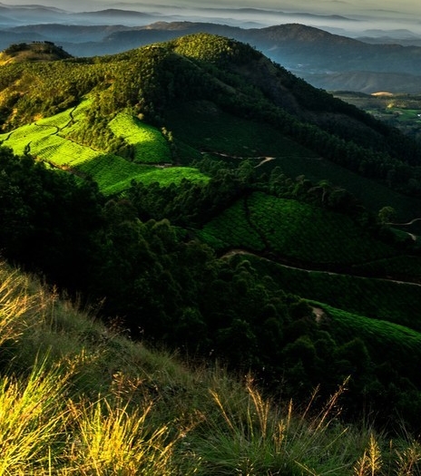 粉象生活骗局?揭密很多人被骗!说说他们的亲身经历!