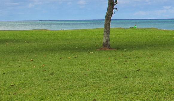 粉象生活粉象文案