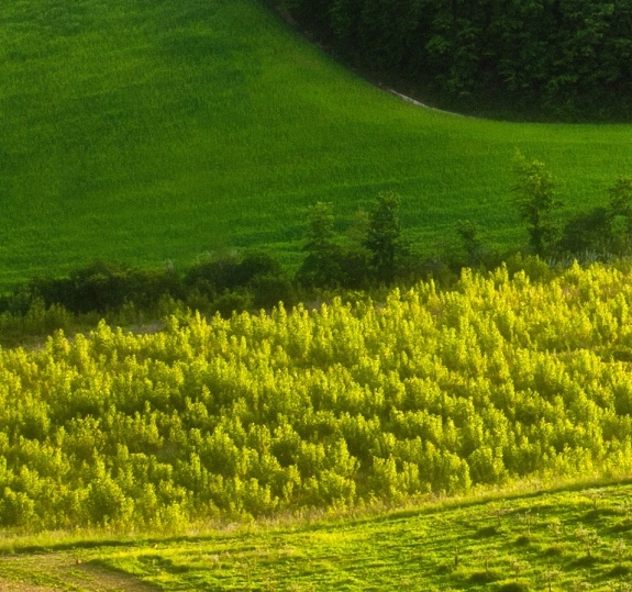 粉象生活最低开通条件