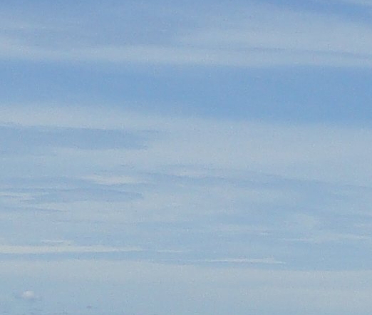 粉象生活下载app