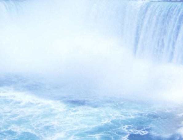 粉象生活文字标识