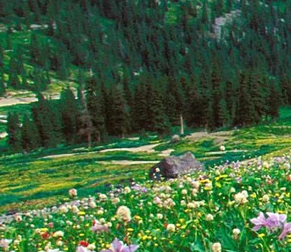 粉象生活靠什么赚钱