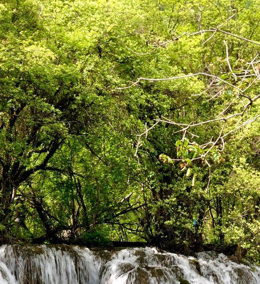 粉象为什么用邀请码