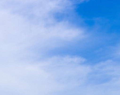 粉象生活邀请码