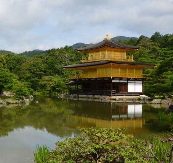 武汉粉象生活注册