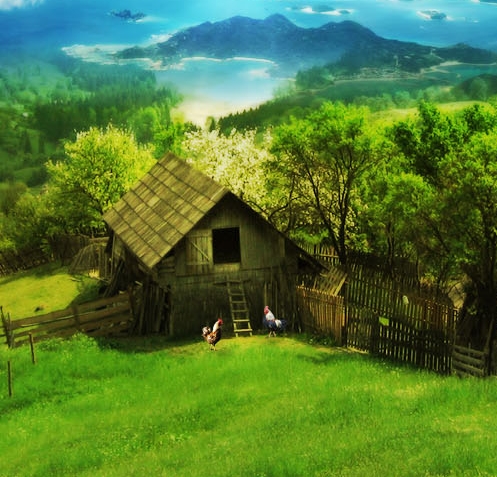 粉象生活能赚到钱吗