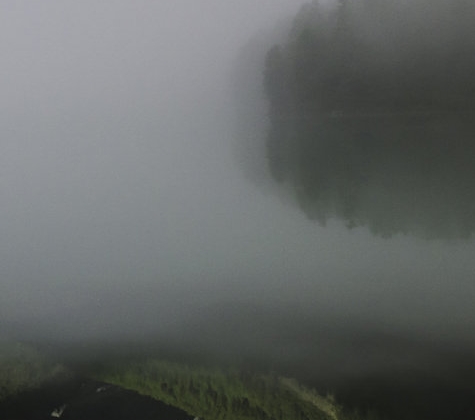 粉象生活小项目