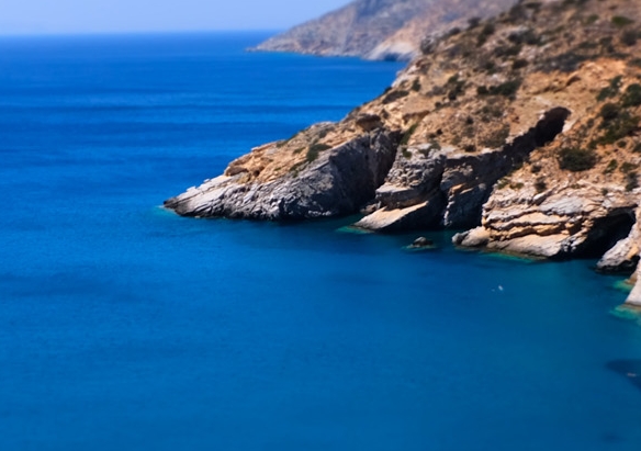 粉象生活下载app