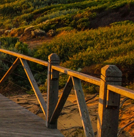 下凡神仙的悲惨生活