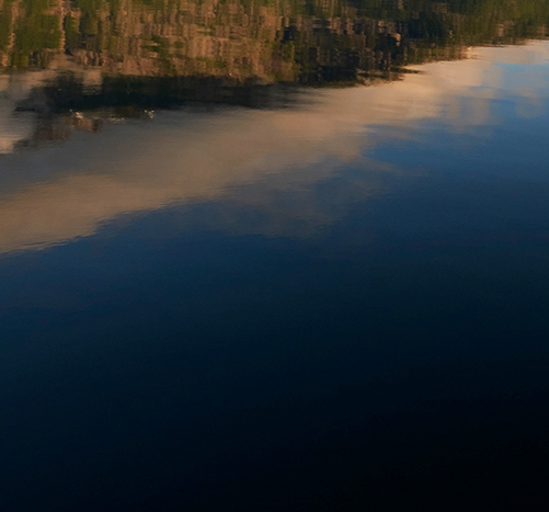 做粉象生活真的可以赚钱吗