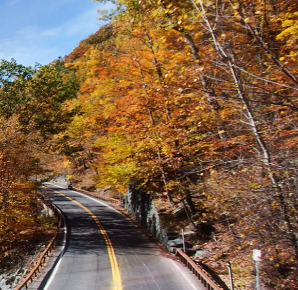 如何用粉象生活买口罩