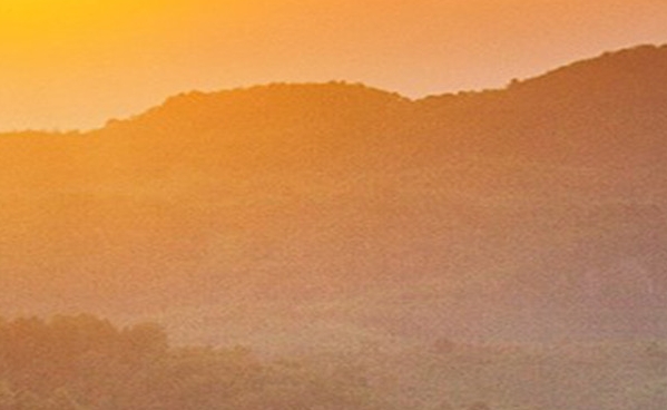 粉象生活的核心