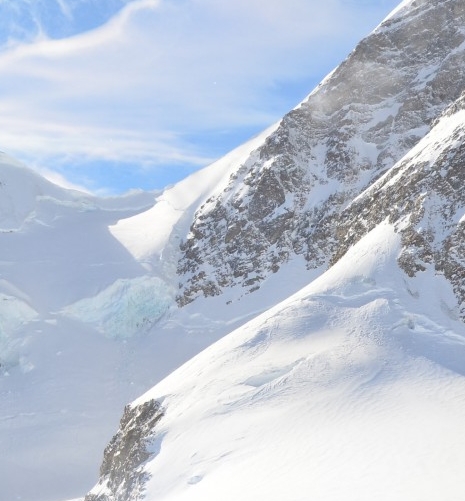 粉象生活赚钱是真的假的