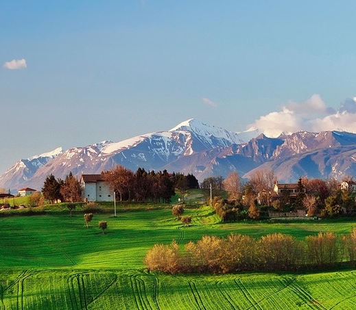 粉象生活怎么退货给客服