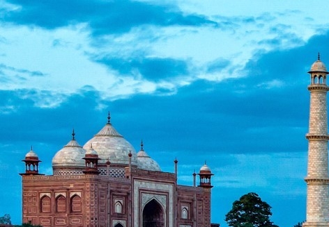 粉象生活返利什么时候开始