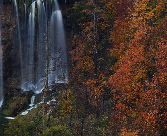 粉象生活是真的吗?真的能赚到钱吗