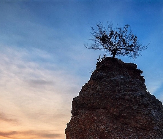 粉象生活怎么登