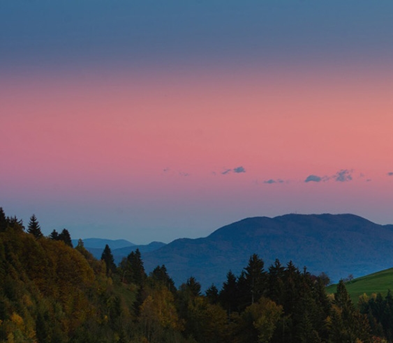 如何快速推广粉象