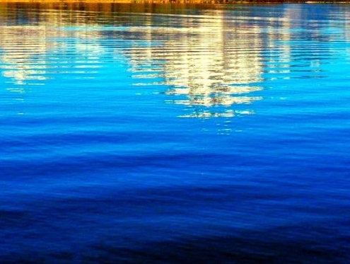 湖北短视频运营涨粉