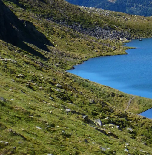 广州粉象生活vip