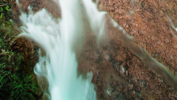 粉象生活每月多少钱