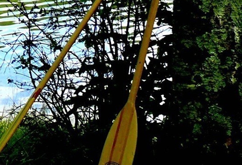 粉象啤酒哪个口味好喝