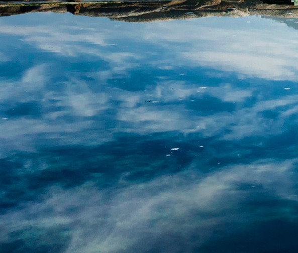 粉象生活这个软件怎么样