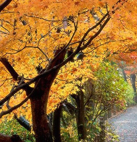 粉象生活的返利是怎么回事