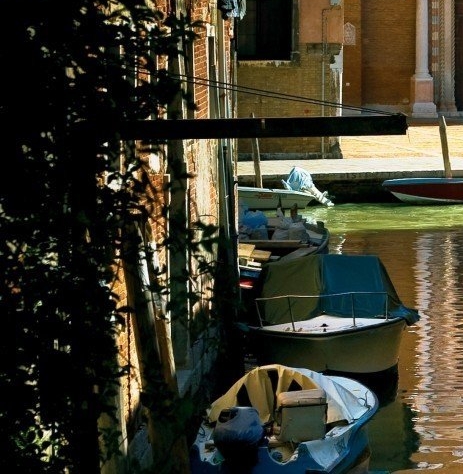 粉象生活研发人