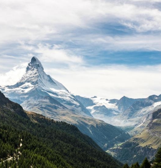 粉象生活购物车怎么查看
