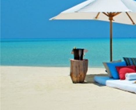 粉象生活下载app