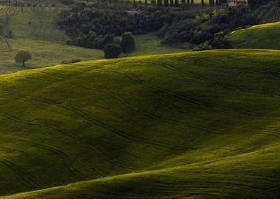 粉象生活返利高吗