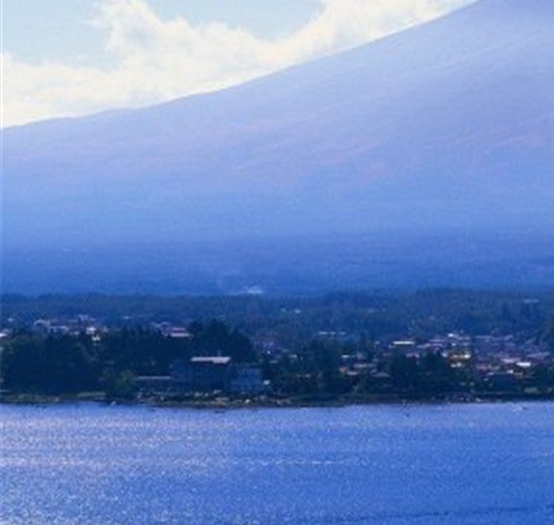 粉象生活怎么不能发布任务