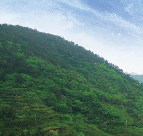 粉象生活怎么去做