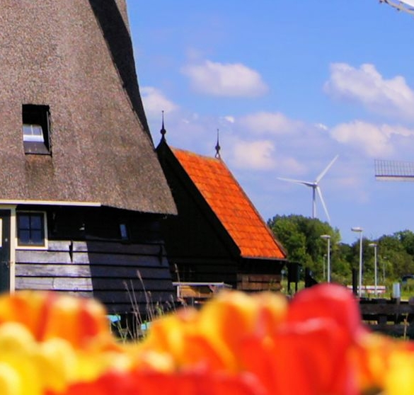 湖北品质粉象生活app