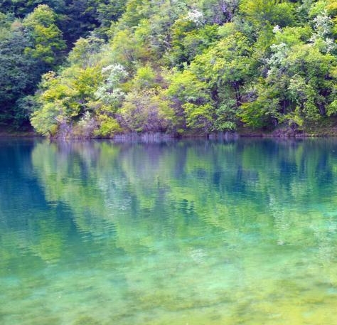 粉象生活如何下载视频