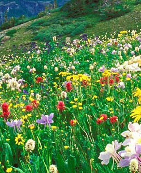 粉象一般人能喝几瓶