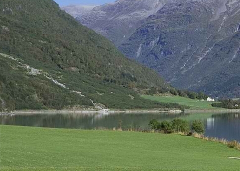 粉象生活自动退出