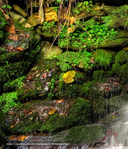 生活超市开店流程