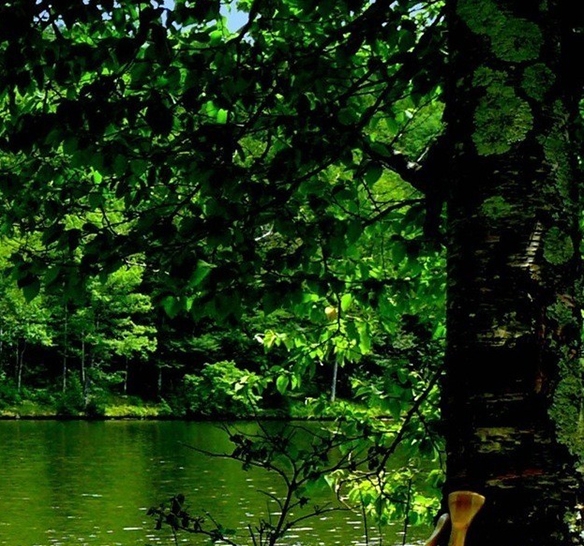 粉象生活到底靠谱吗