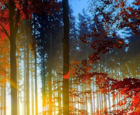 有谁做过小红象的赚钱靠谱吗