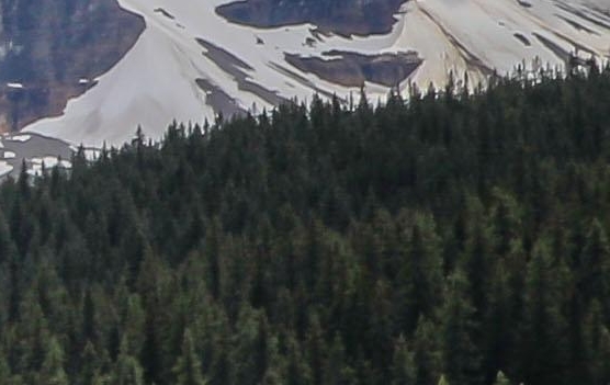 粉象生活送礼物