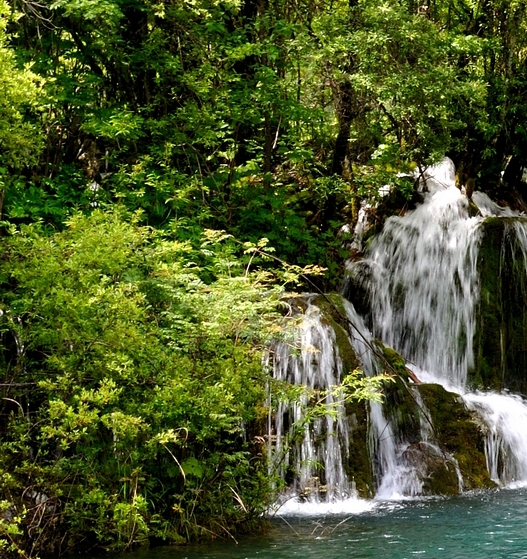 粉象生活要怎么用