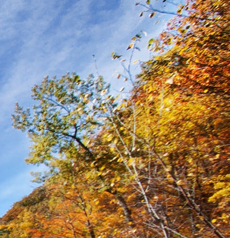 粉象生活申请仅退款但收货有收益吗