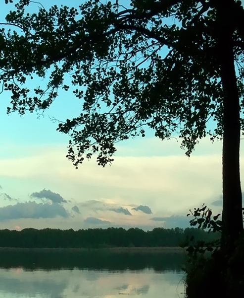 粉象生活在哪看我的邀请人