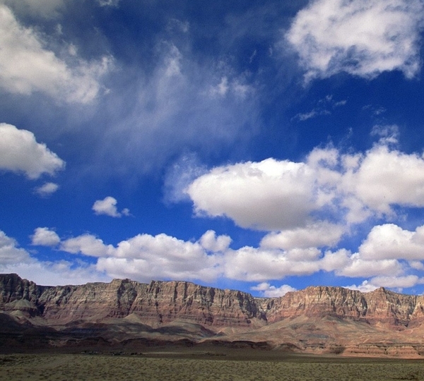 粉象生活外卖卷