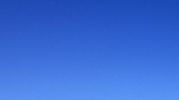 粉象生活在哪里填写邀请码