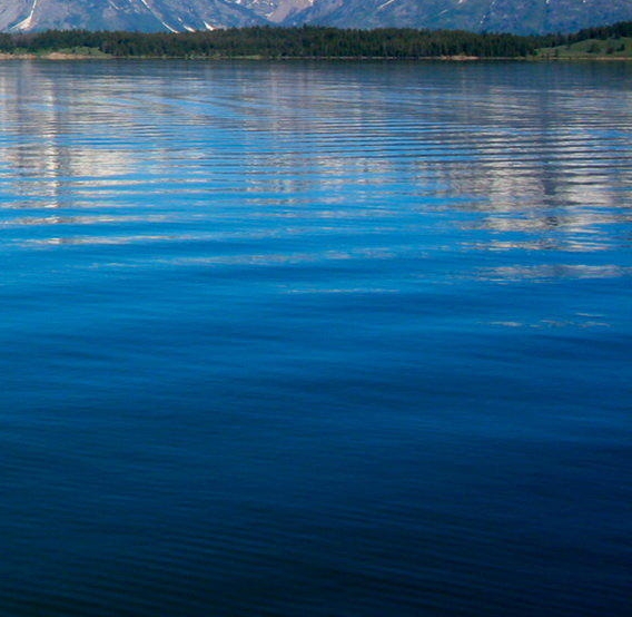 粉象生活邀请码